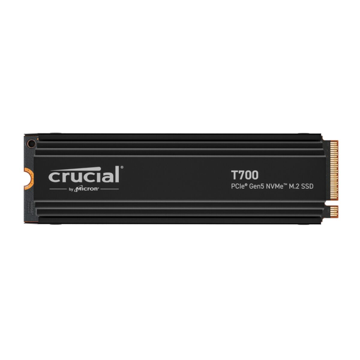 Festplatte Crucial 4 TB SSD