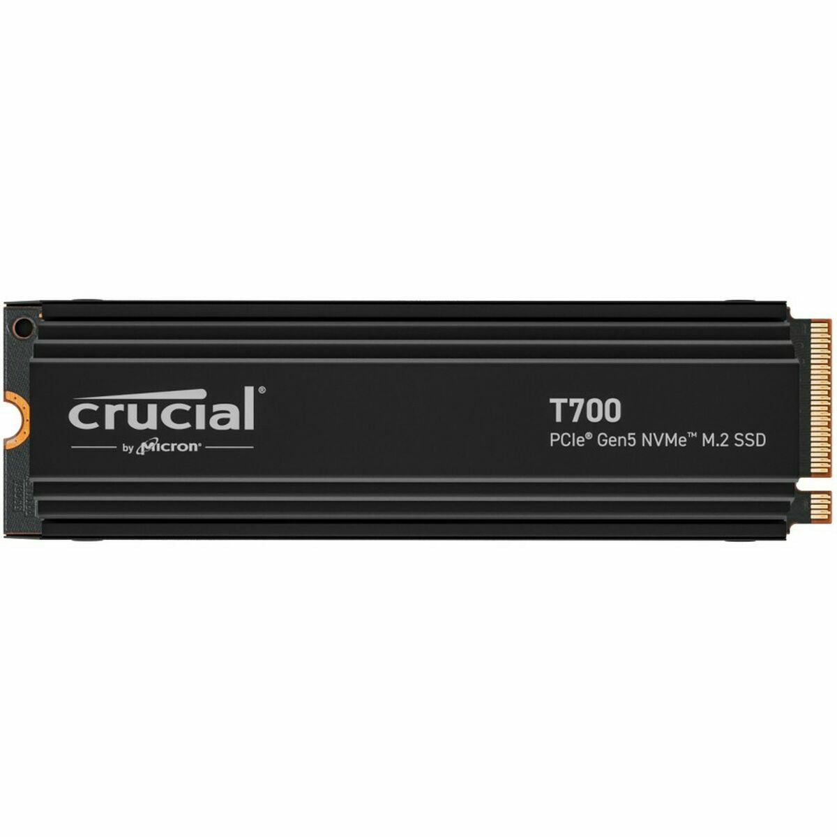 Festplatte Crucial 4 TB SSD