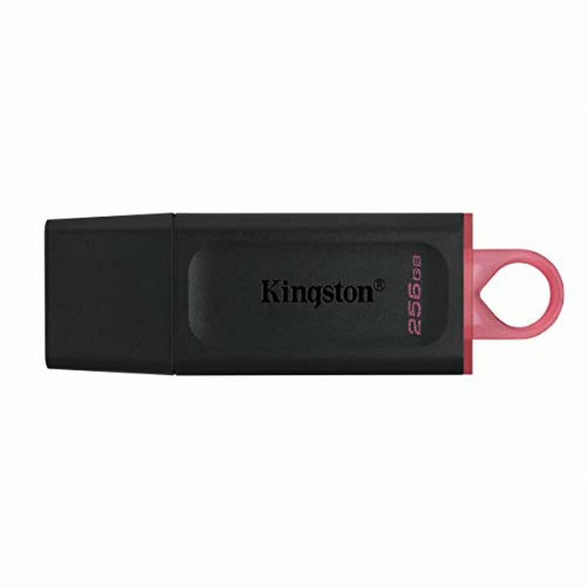 USB Pendrive Kingston DTX/256GB Schlüsselanhänger Schwarz 256 GB