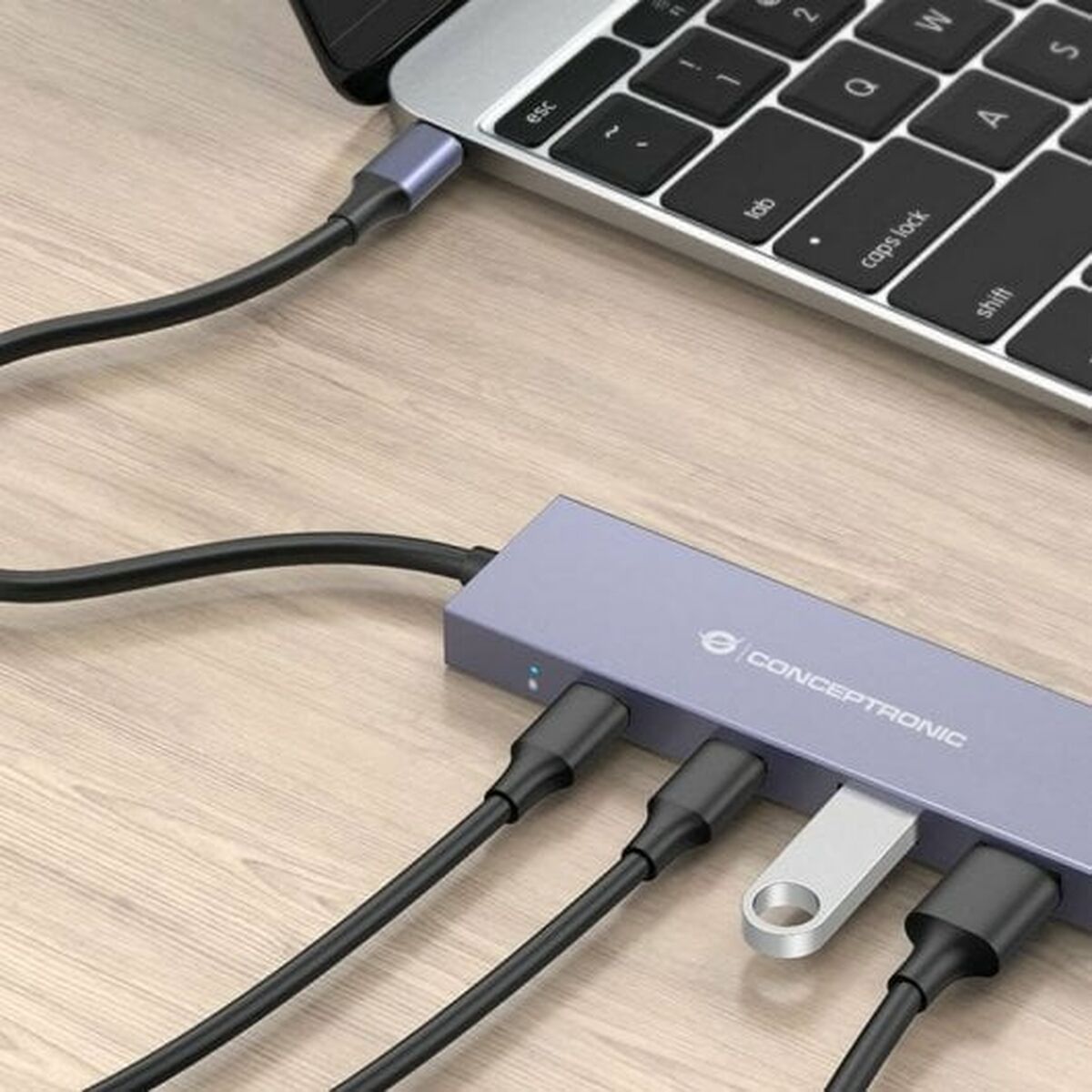 Hub USB Conceptronic HUBBIES13G Grau