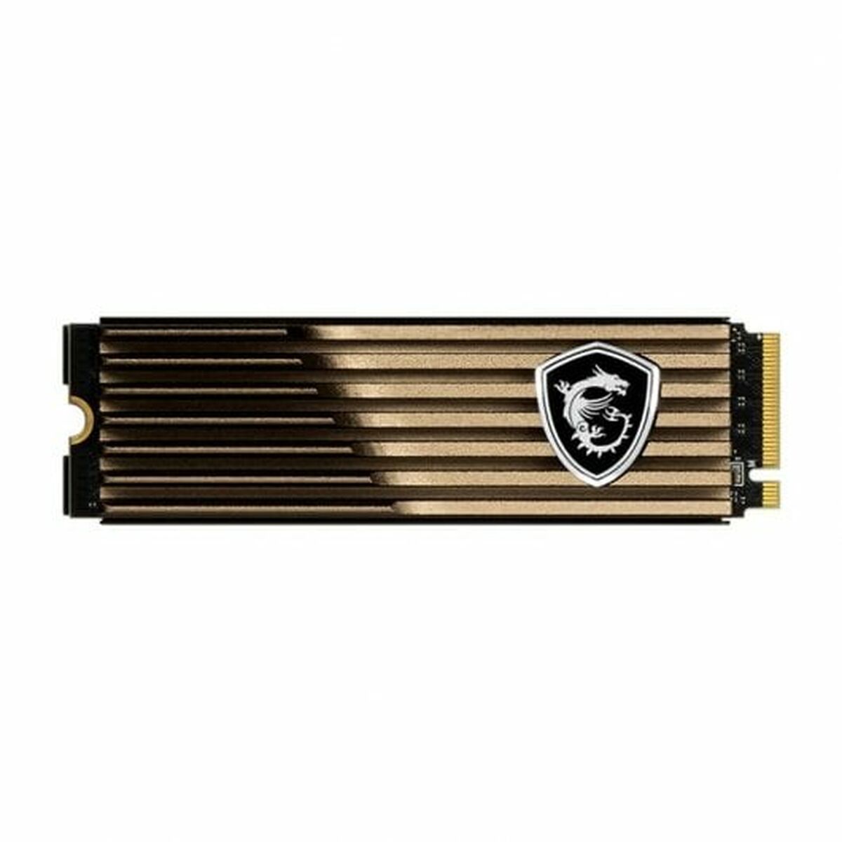 Festplatte MSI 2 TB 2 TB SSD