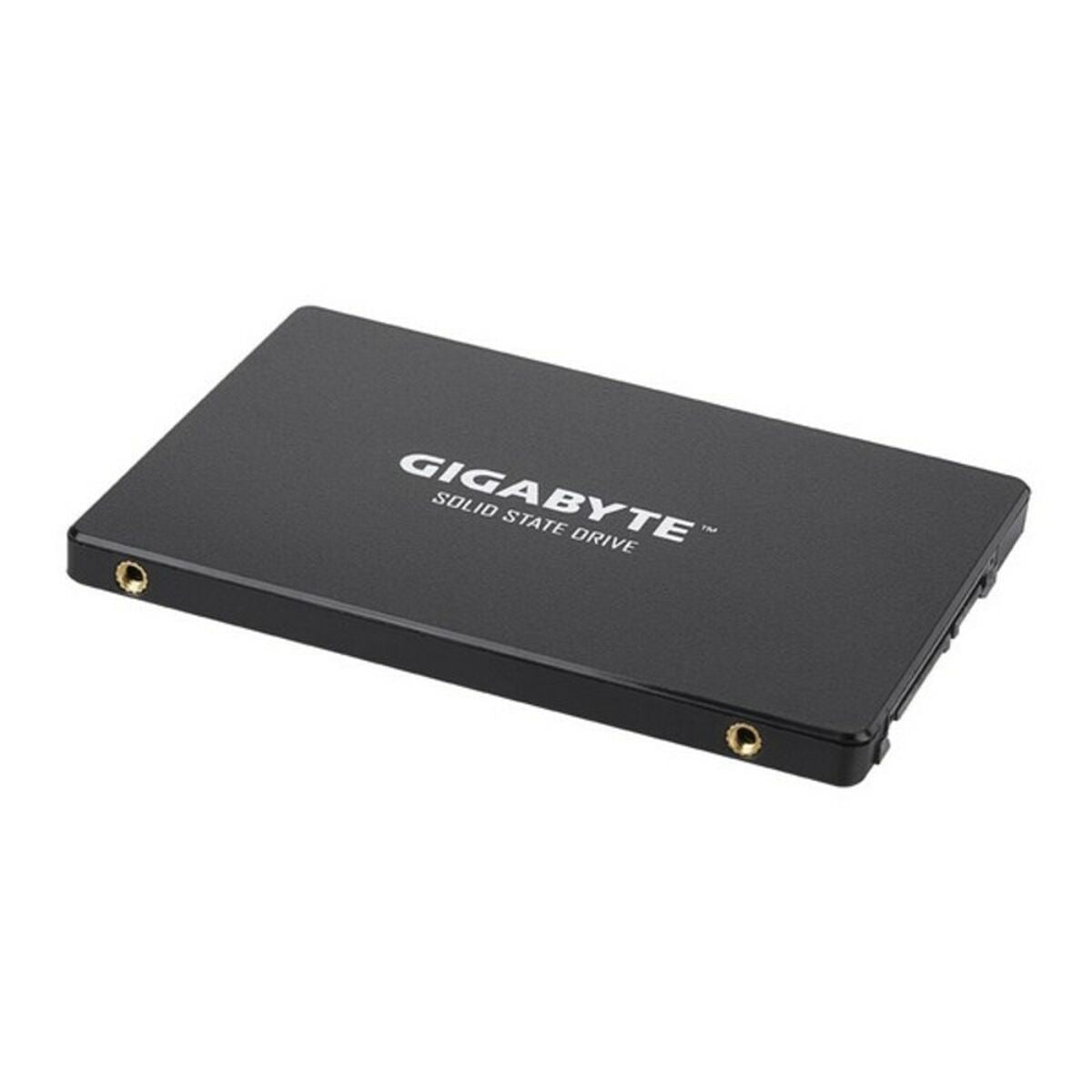 Festplatte Gigabyte GP-GSTFS31256GTND 256 GB SSD