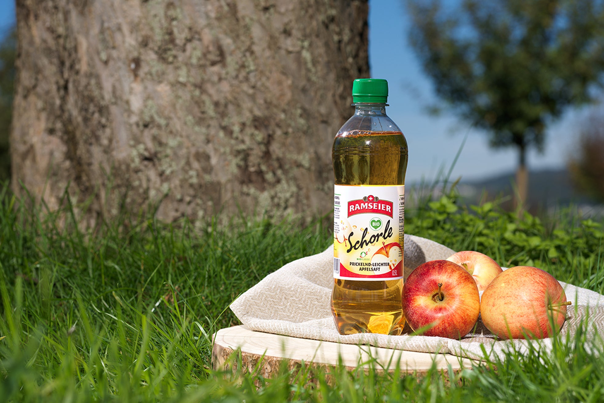 Ramseier Apfelschorle, 50 cl, 6 Stück